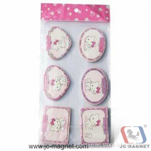 Resin Fridge Magnet (JM02-1)